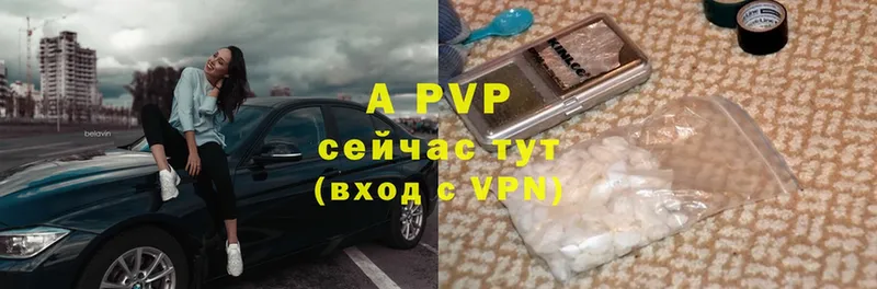 сколько стоит  Западная Двина  A-PVP СК КРИС 